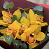 Букет из 5 орхидей с эвкалиптом - Фото 2