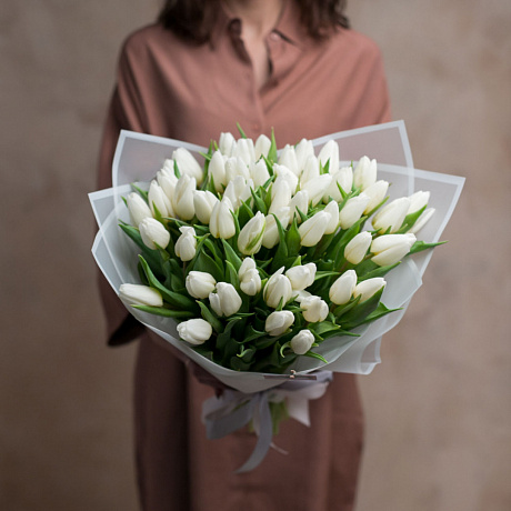 51 белый тюльпан  - Фото 1