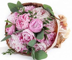 11 розовых пионов в крафте с эвкалиптом