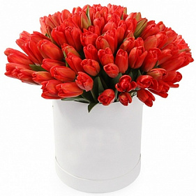 101 красный тюльпан в большой шляпной коробке