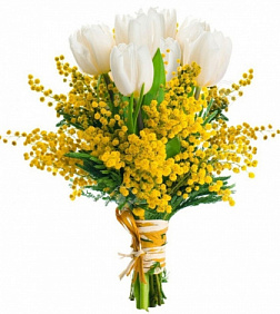 Белые тюльпаны с мимозой
