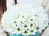 Белые хризантемы шляпной коробке - Фото 2