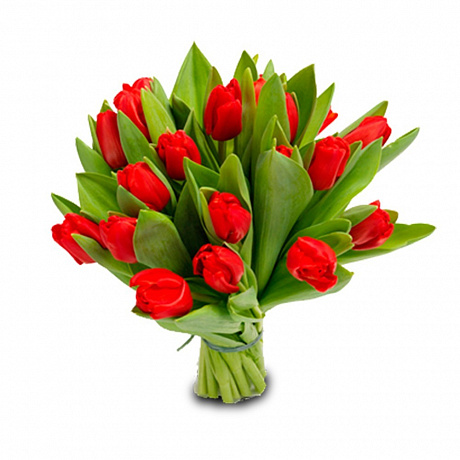 Букет из 19 красных тюльпанов - Фото 1