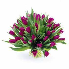 Букет фиолетовых тюльпанов "Бизнес встреча"