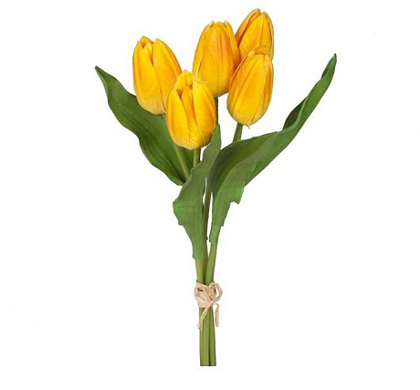 Букет из 5 желтых тюльпанов - Фото 1