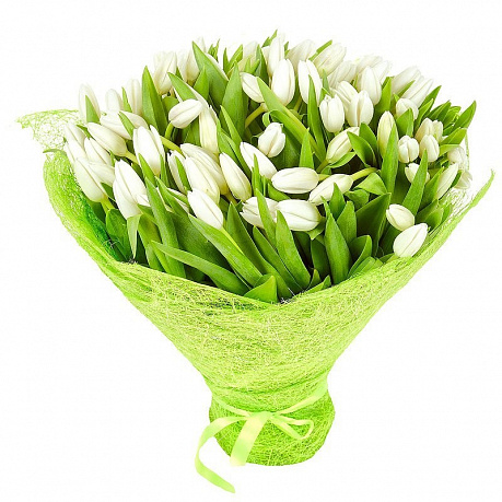 101 белый тюльпан - Фото 1