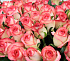 101 роза Джамиля  - Фото 2